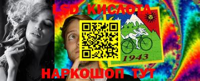 гидра Дубна